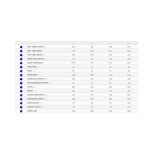 Ποδήλατο Giant Roam 3 disc metal
