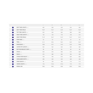 Giant Contend AR 2 Ποδήλατο δρόμου/gravel