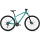 FOCUS WHISTLER 3.6 29' green Ποδήλατο MTB