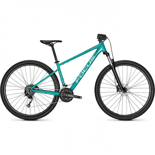 FOCUS WHISTLER 3.6 29' green Ποδήλατο MTB Δαλαβίκας bikes