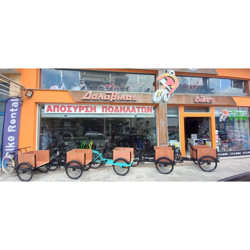 Τρίκυκλο ποδήλατο e-bike μεταφοράς φορτίου-Χειροποίητη κατασκευή Dalavikas bikes
