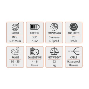 RKS W6 Ηλεκτρικό ποδήλατο