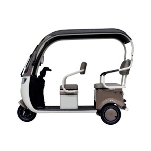 TAILG X7 LEAD ACID 25 KM/H Ηλεκτρικό Τρίκυκλο scooter - χωρίς δίπλωμα