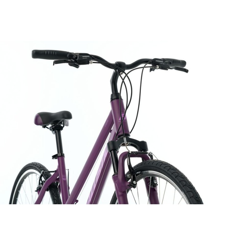 Ballistic Coaster W 28" ποδήλατο trekking γυναικείο μωβ ματ