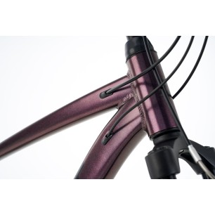 Ballistic Hermes 29" ποδήλατο βουνού (ΜΤΒ) iris