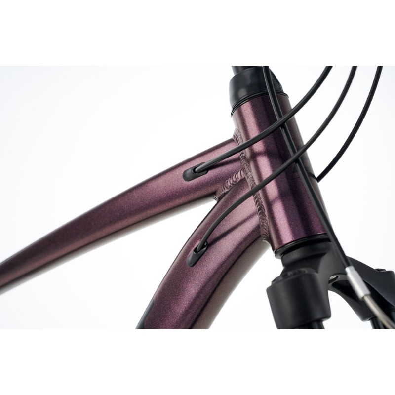 Ballistic Hermes 29" ποδήλατο βουνού (ΜΤΒ) iris Ballistic Hermes 29" ποδήλατο βουνού (ΜΤΒ) iris