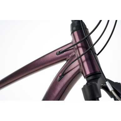 Ballistic Hermes 29" ποδήλατο βουνού (ΜΤΒ) iris