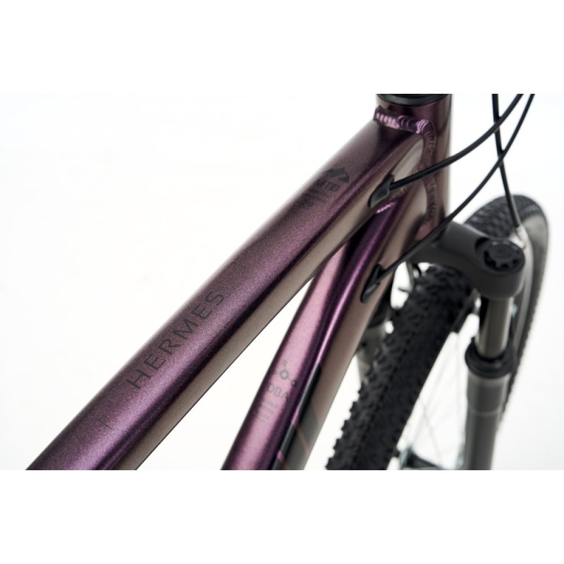 Ballistic Hermes 29" ποδήλατο βουνού (ΜΤΒ) iris Ballistic Hermes 29" ποδήλατο βουνού (ΜΤΒ) iris