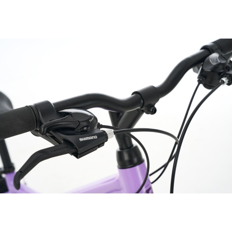 Ballistic Hermes U 26" ποδήλατο βουνού (ΜΤΒ) μωβ 21 sp