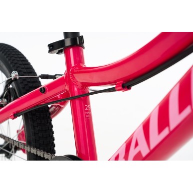 Ballistic Berg 20" παιδικό ποδήλατο ΜΤΒ ροζ