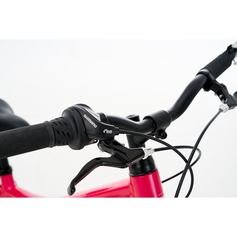 Ballistic Berg 20" παιδικό ποδήλατο ΜΤΒ ροζ