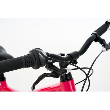 Ballistic Berg 20" παιδικό ποδήλατο ΜΤΒ ροζ