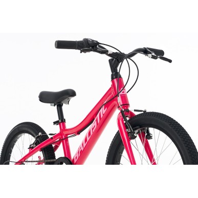 Ballistic Berg 20" παιδικό ποδήλατο ΜΤΒ ροζ