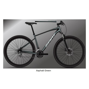 Ποδήλατο Giant Roam 2 disc Green