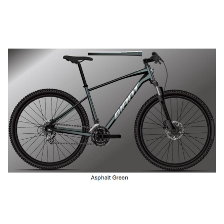 Ποδήλατο Giant Roam 2 disc Green