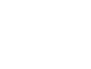 bike delivery service